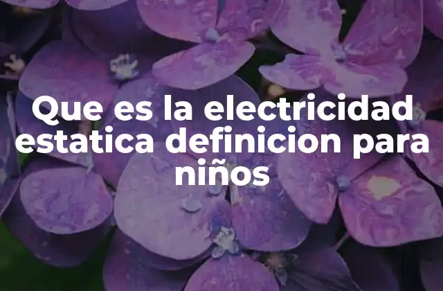 Que es la Electricidad Estatica Definicion para Niños