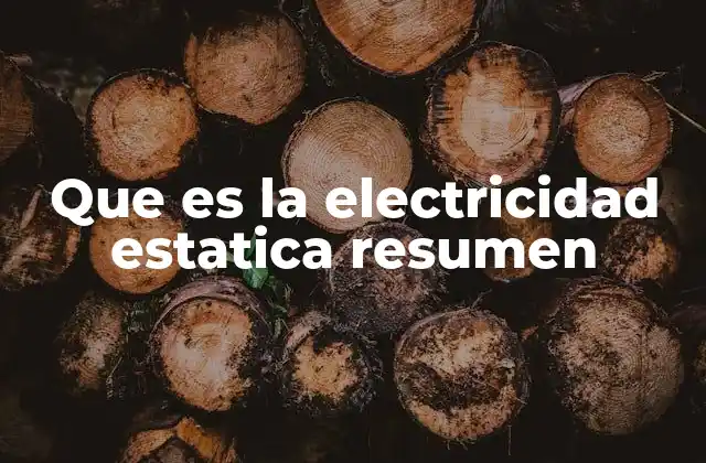 Que es la Electricidad Estatica Resumen