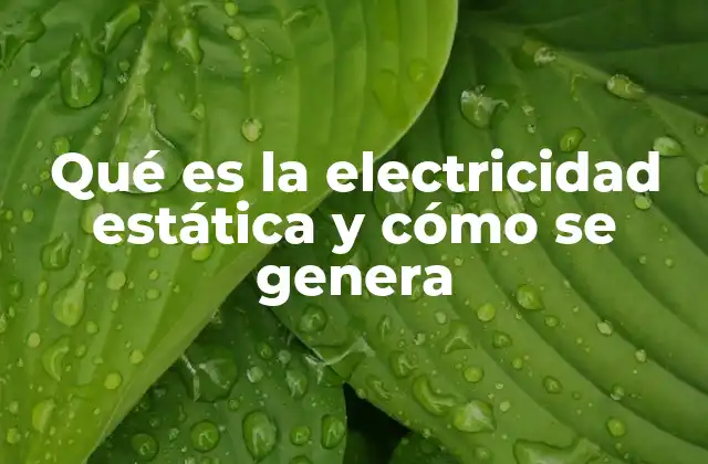 Qué es la Electricidad Estática y Cómo Se Genera