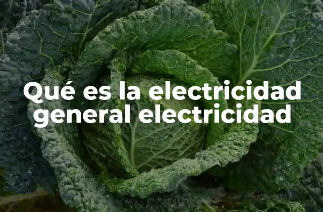 Qué es la Electricidad General Electricidad