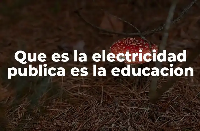 Que es la Electricidad Publica es la Educacion