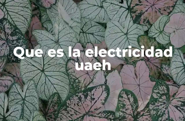 El papel de la UAEMH en la formación de ingenieros eléctricos