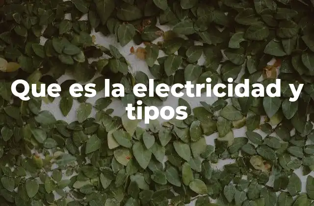 Que es la Electricidad y Tipos