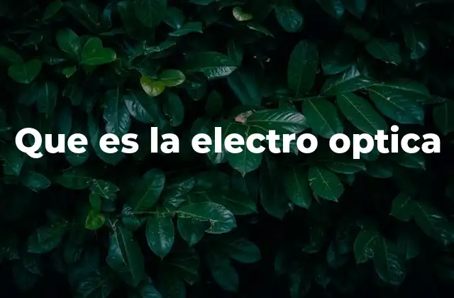 Que es la Electro Optica