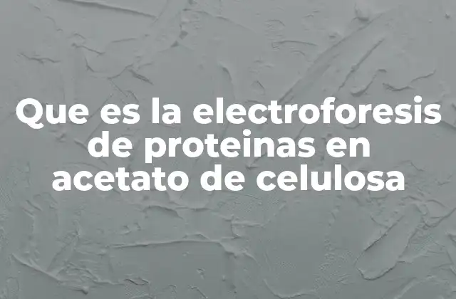 Que es la Electroforesis de Proteinas en Acetato de Celulosa 2 Aplicaciones de la electroforesis en acetato de celulosa