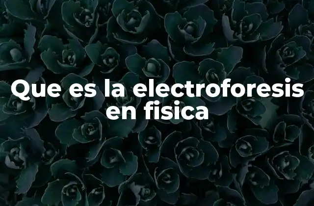 Que es la Electroforesis en Fisica