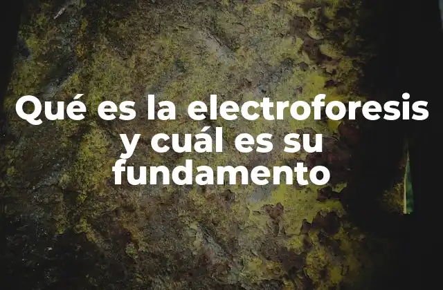 Qué es la Electroforesis y Cuál es Su Fundamento