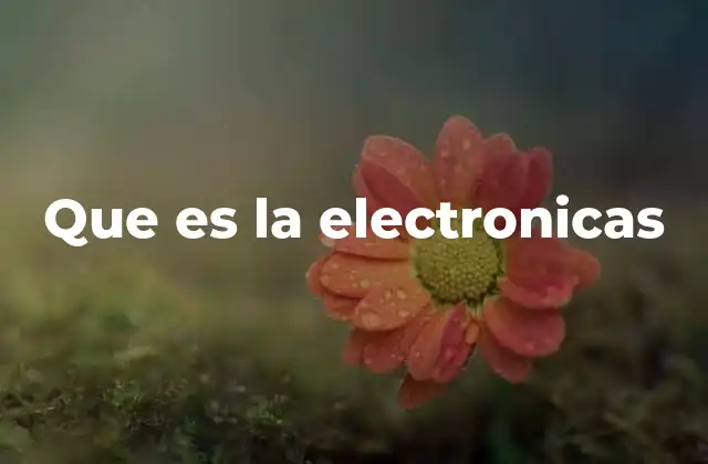 Que es la Electronicas
