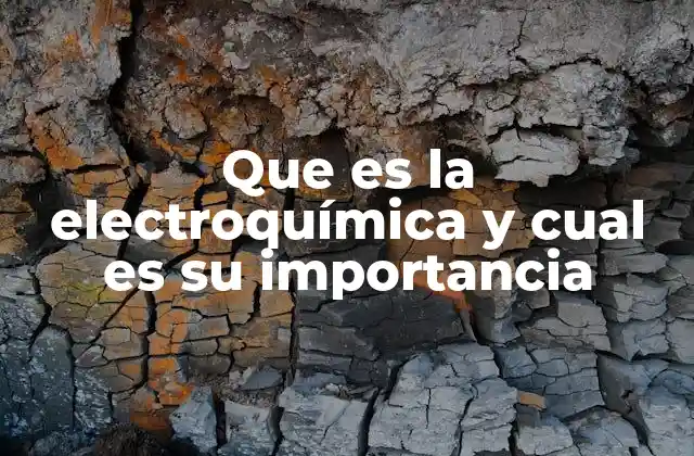 Que es la Electroquímica y Cual es Su Importancia
