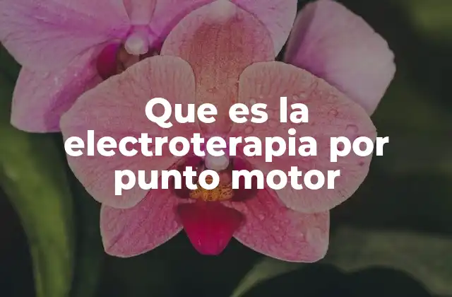 Que es la Electroterapia por Punto Motor