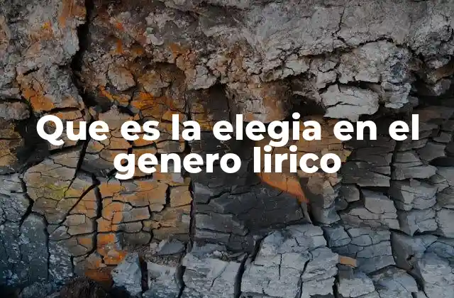 Que es la Elegia en el Genero Lirico