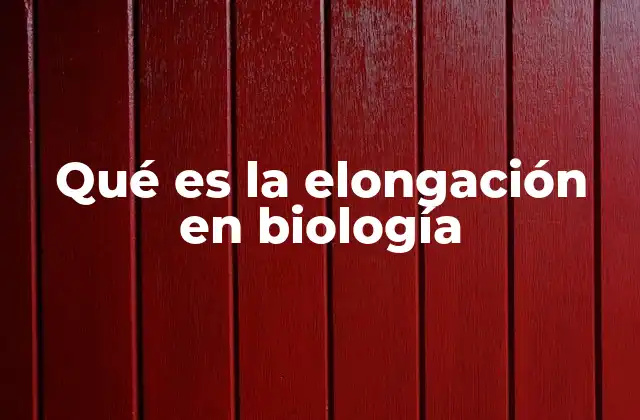 Qué es la Elongación en Biología
