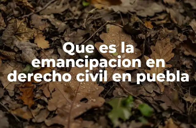 Que es la Emancipacion en Derecho Civil en Puebla