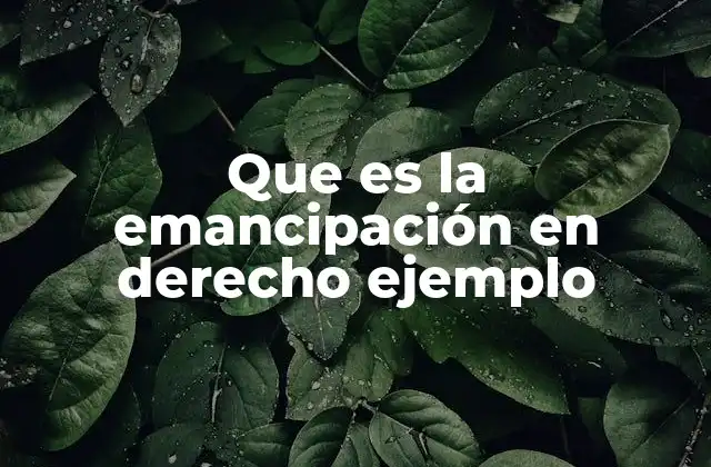 Que es la Emancipación en Derecho Ejemplo