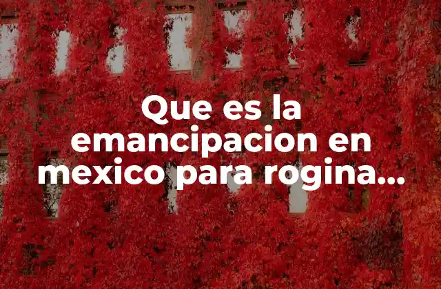 Que es la Emancipacion en Mexico para Rogina Villegas