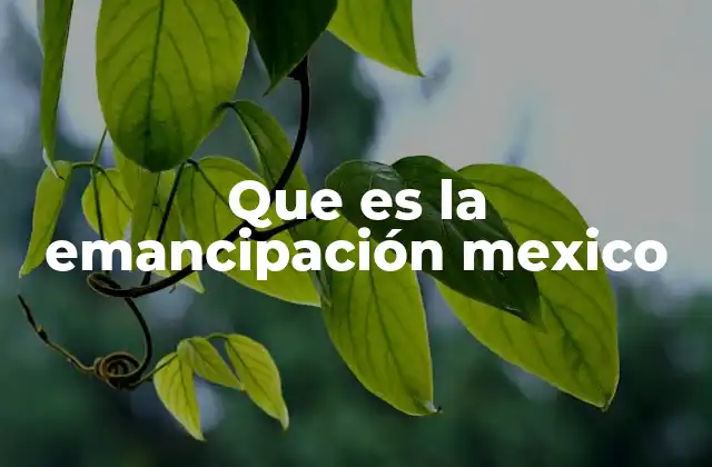 Que es la Emancipación Mexico