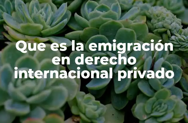 Que es la Emigración en Derecho Internacional Privado