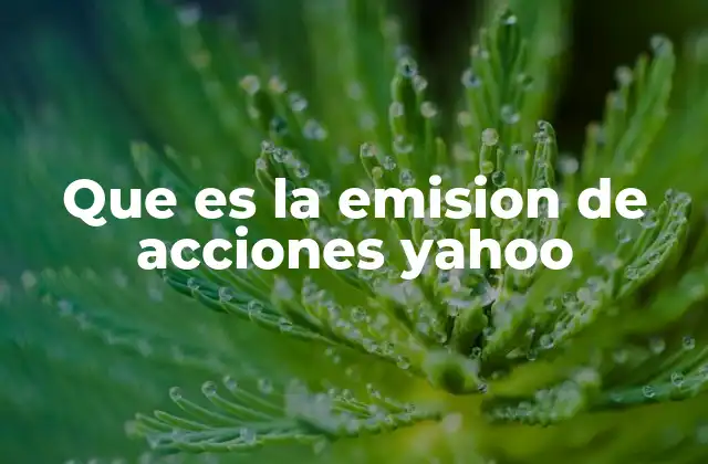 Que es la Emision de Acciones Yahoo