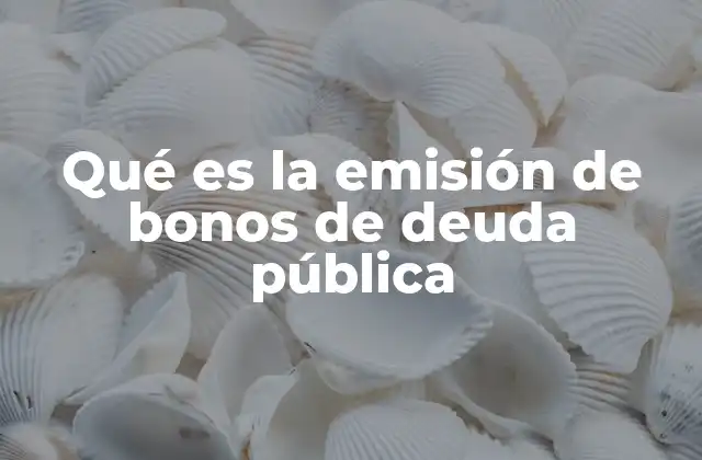 Qué es la Emisión de Bonos de Deuda Pública