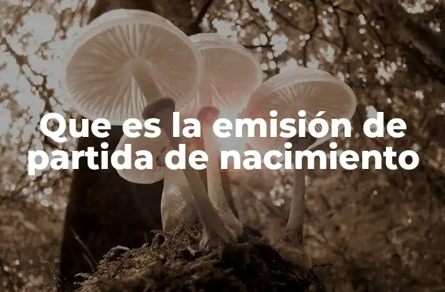 La importancia del registro de nacimiento en la sociedad actual