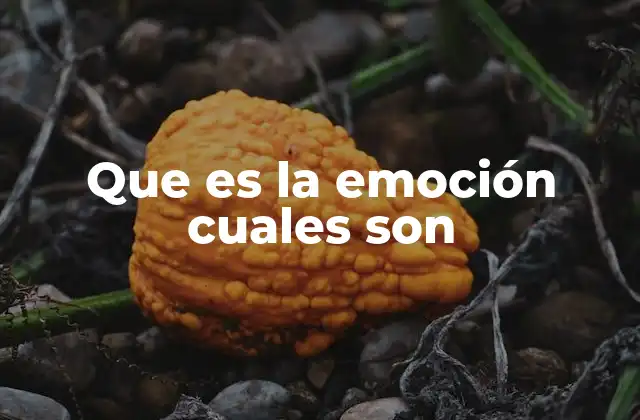 Que es la Emoción Cuales Son