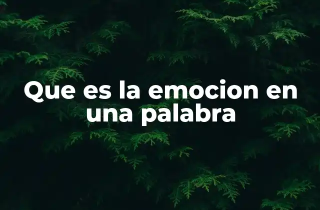 Que es la Emocion en una Palabra