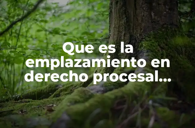 Que es la Emplazamiento en Derecho Procesal Mercantil