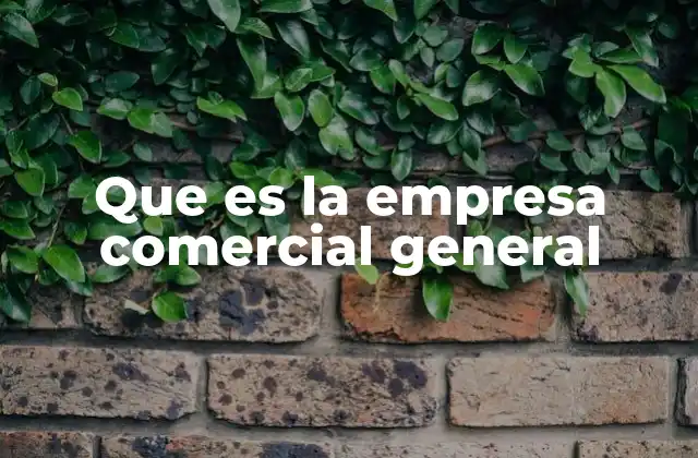 Que es la Empresa Comercial General