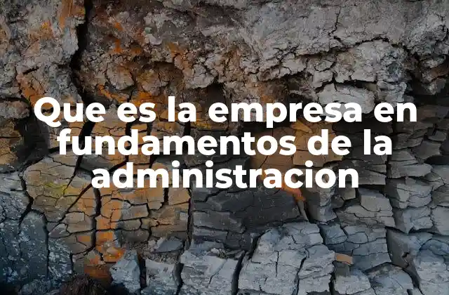 Que es la Empresa en Fundamentos de la Administracion