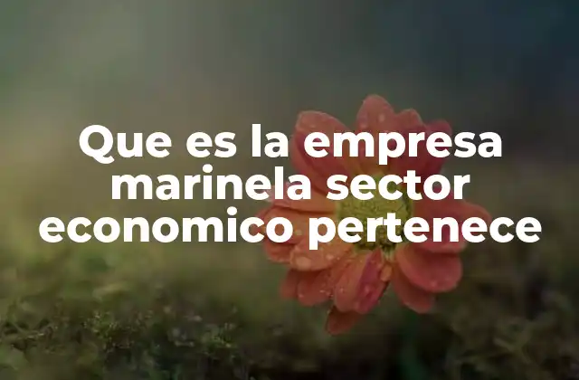 Que es la Empresa Marinela Sector Economico Pertenece