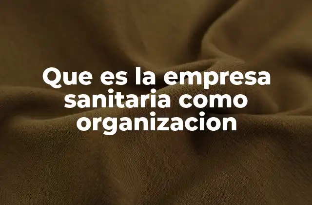 Que es la Empresa Sanitaria como Organizacion
