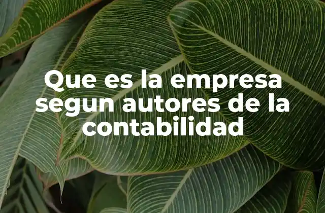 El rol de la empresa en el sistema económico según la contabilidad