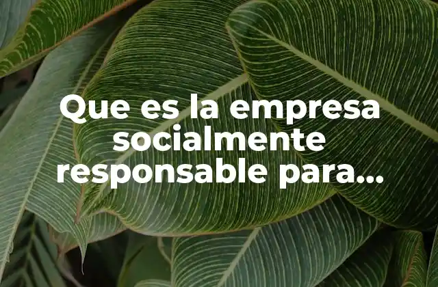 Que es la Empresa Socialmente Responsable para Identificar Sus Caracteristicas 2 El compromiso con la sociedad y el entorno
