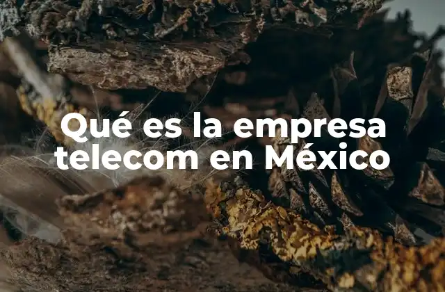Qué es la Empresa Telecom en México