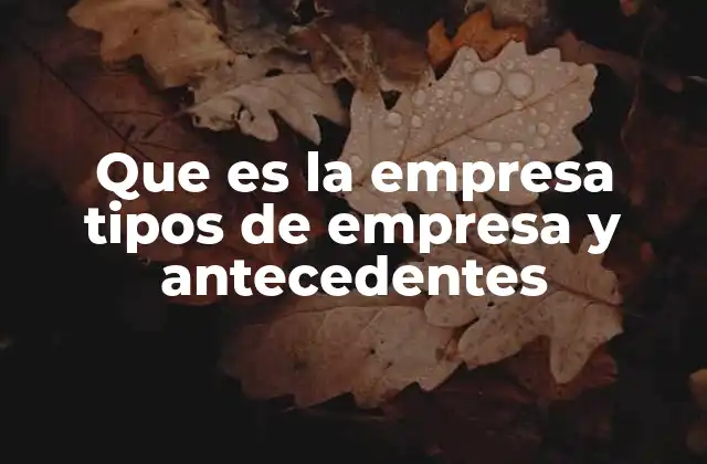 Que es la Empresa Tipos de Empresa y Antecedentes