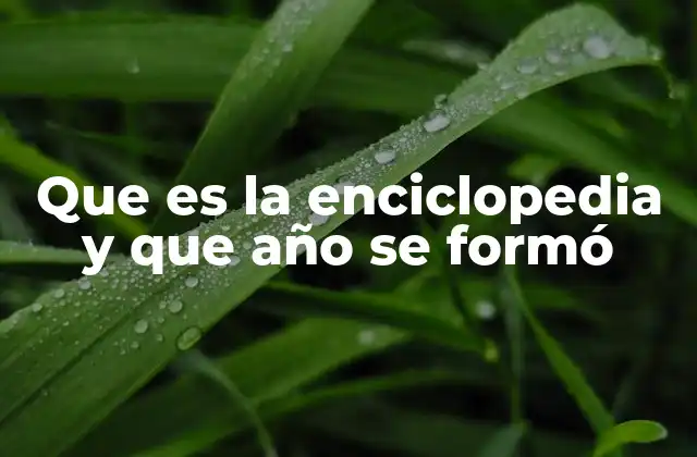 Que es la Enciclopedia y que Año Se Formó