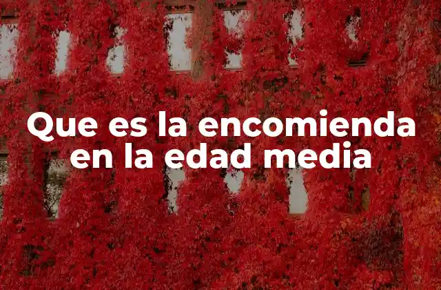 Que es la Encomienda en la Edad Media 2 El funcionamiento de las instituciones feudales en la Edad Media