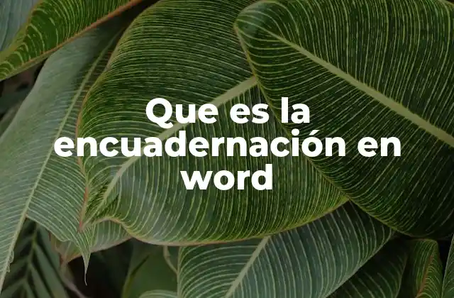 Que es la Encuadernación en Word