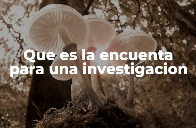 Que es la Encuenta para una Investigacion