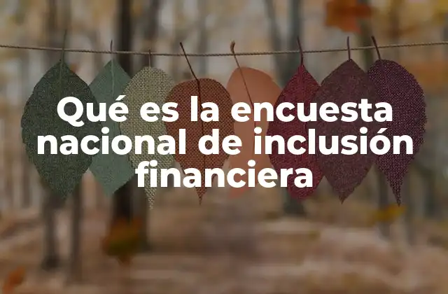 Qué es la Encuesta Nacional de Inclusión Financiera