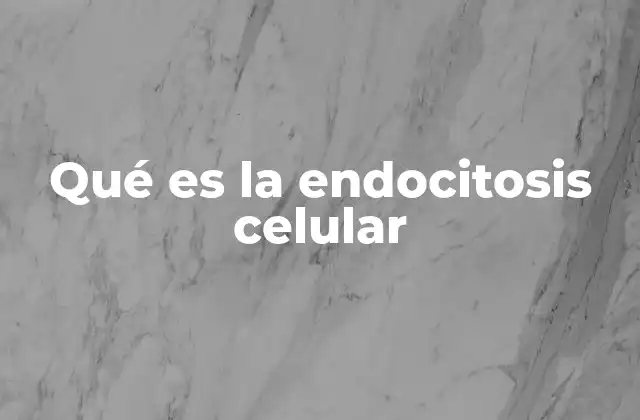 Qué es la Endocitosis Celular