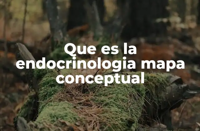 Que es la Endocrinologia Mapa Conceptual