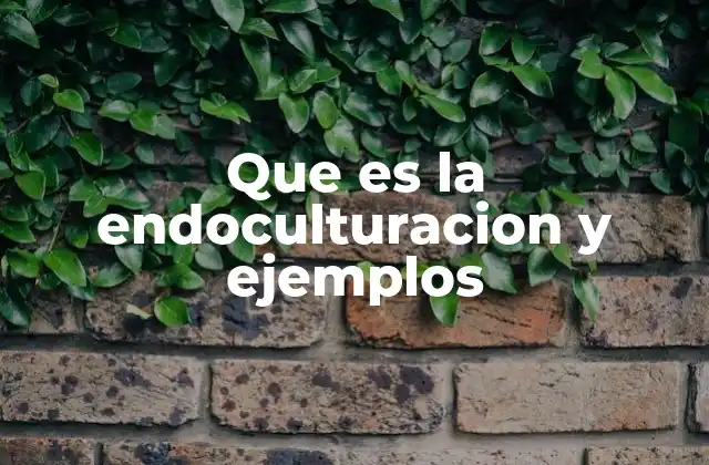 Que es la Endoculturacion y Ejemplos