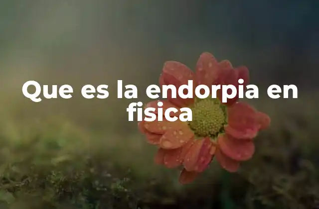 Que es la Endorpia en Fisica