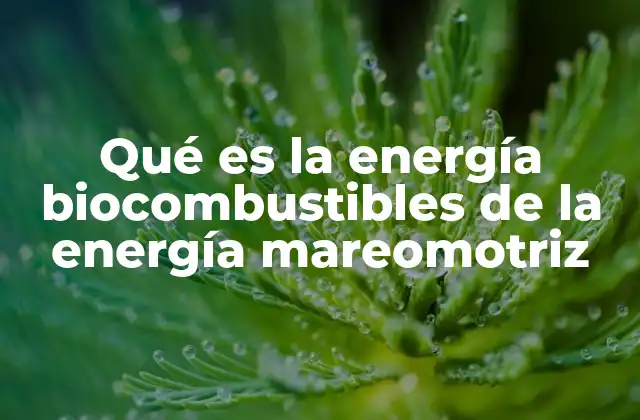 Qué es la Energía Biocombustibles de la Energía Mareomotriz
