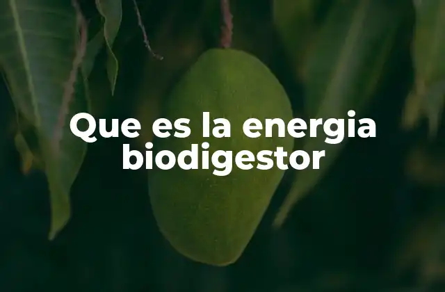 Que es la Energia Biodigestor 2 El papel de los biodigestores en la producción energética