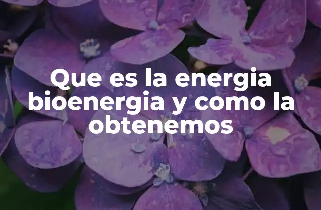 Que es la Energia Bioenergia y como la Obtenemos