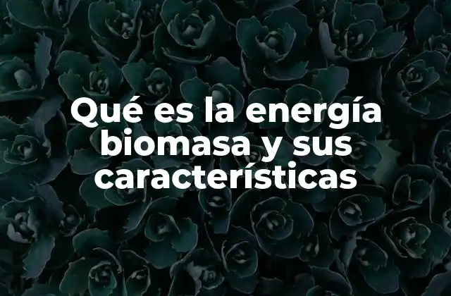 Qué es la Energía Biomasa y Sus Características