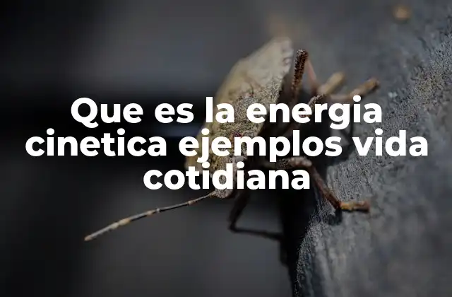 Que es la Energia Cinetica Ejemplos Vida Cotidiana