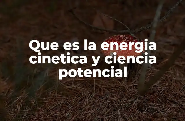 La relación entre movimiento y posición en la energía